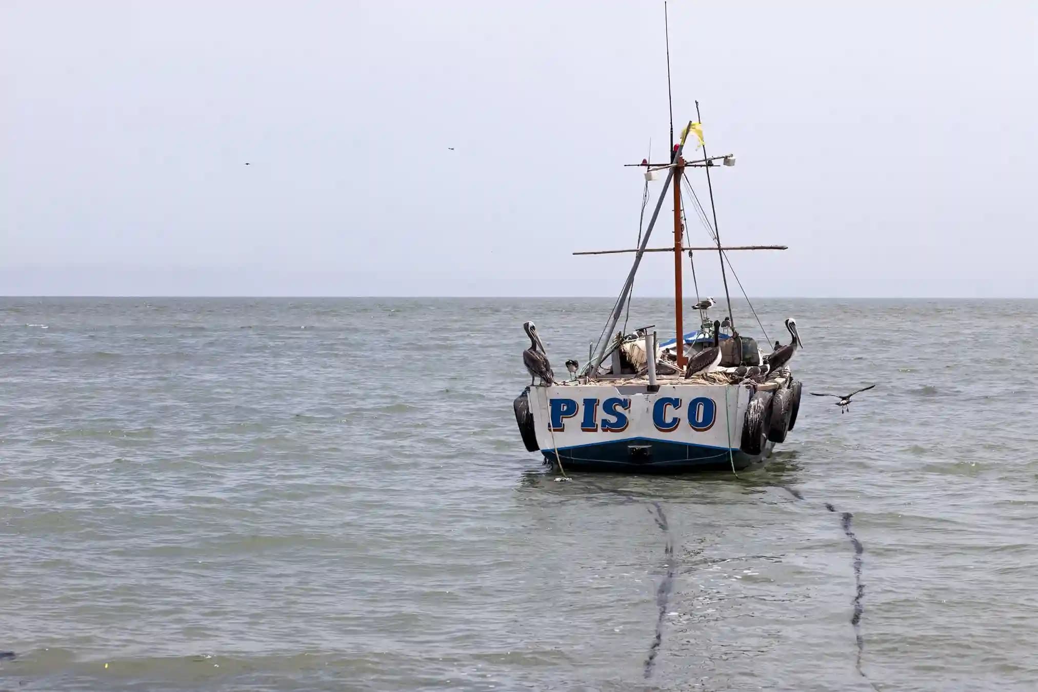 Pisco - Ica